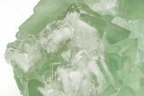 Green Cubic Fluorite Crystals with Phantoms - China #216319-3